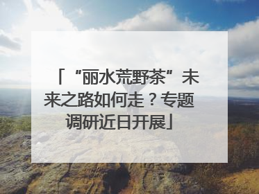 “丽水荒野茶”未来之路如何走？专题调研近日开展